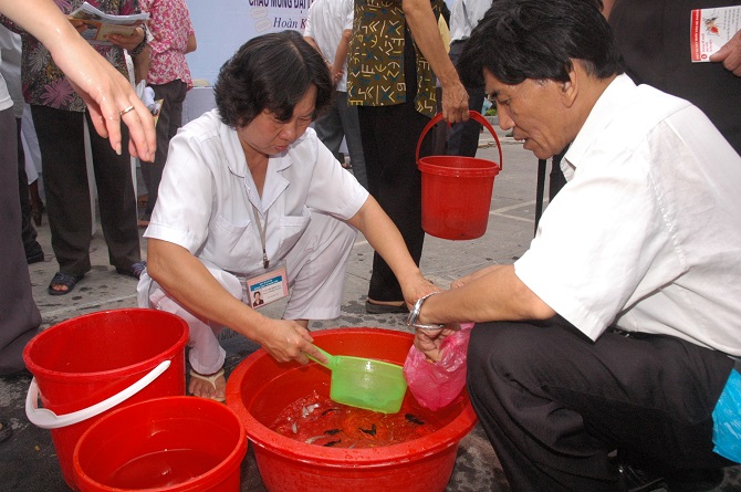 Chủ động phòng chống sốt xuất huyết, không để dịch lan rộng