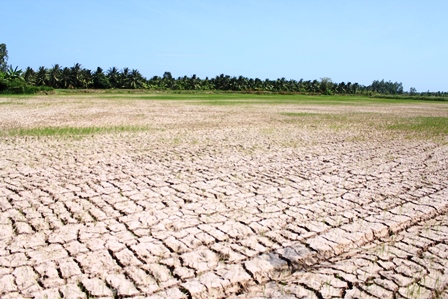 Tăng cường triển khai các biện pháp cấp bách ứng phó với nguy cơ nắng nóng, hạn hán, thiếu nước, xâm nhập mặn