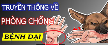 Bệnh dại những điều cần biết