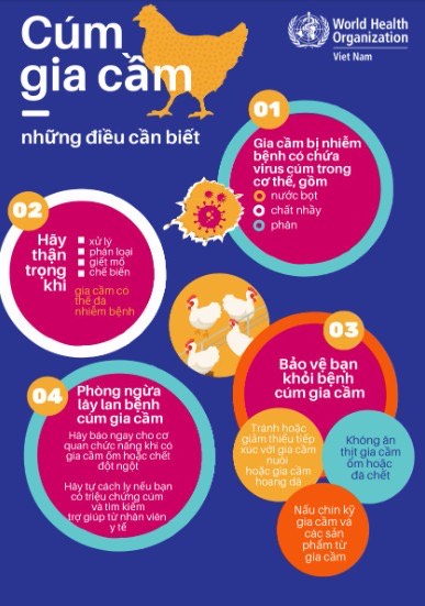 Chủ động thực hiện các biện pháp phòng, chống dịch Cúm A(H5N1) trên người