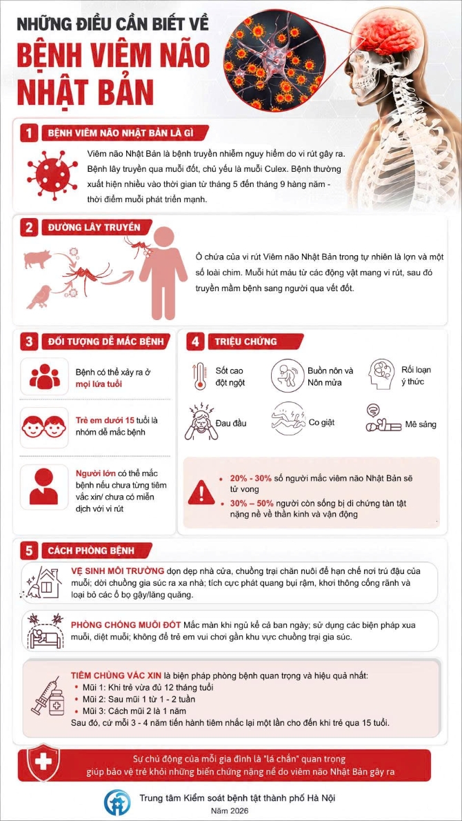 Những điều cần biết về bệnh viêm não Nhật Bản