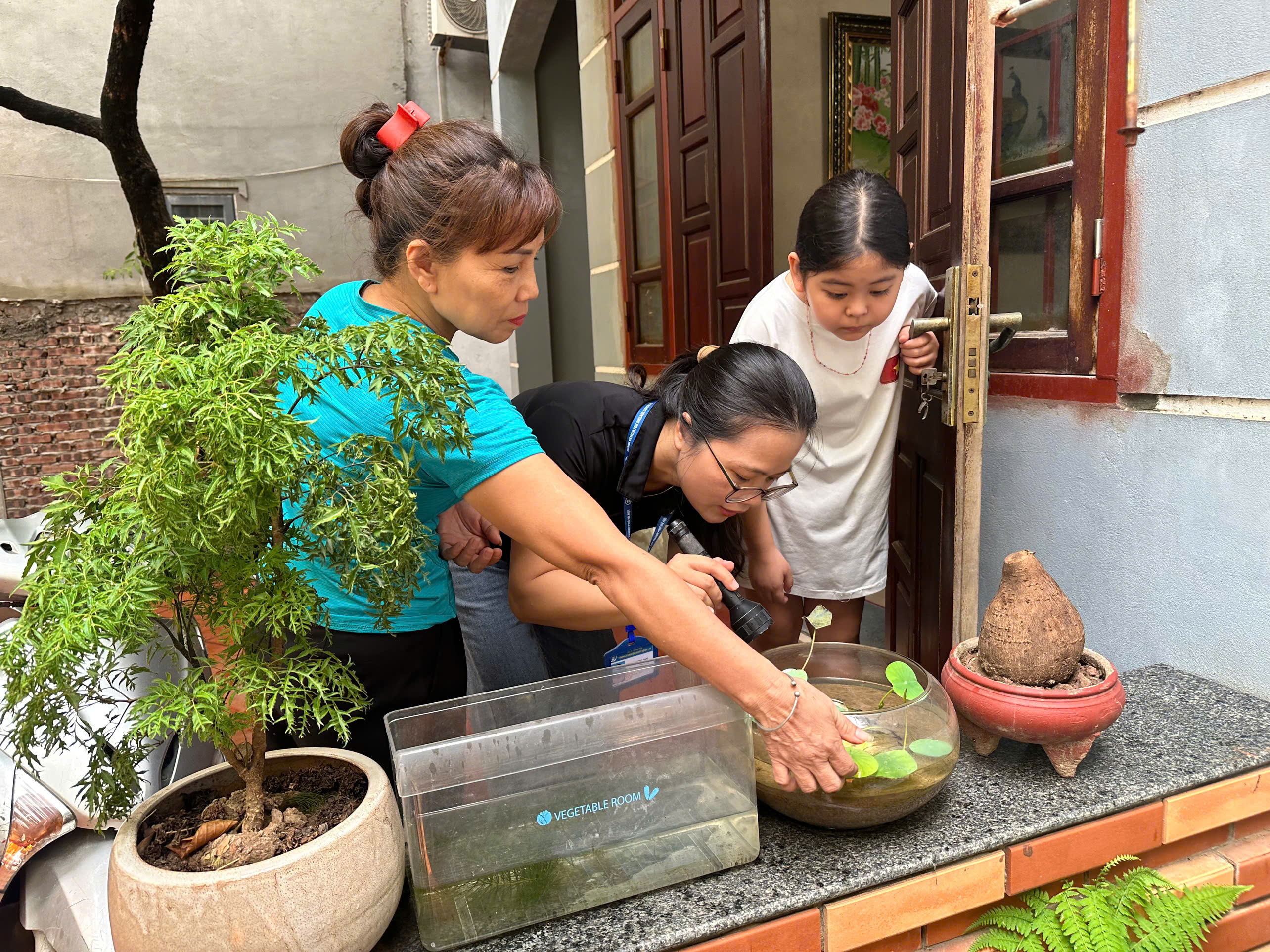 Hà Nội tăng cường giám sát, xử lý ổ dịch sốt xuất huyết trong cao điểm mùa dịch