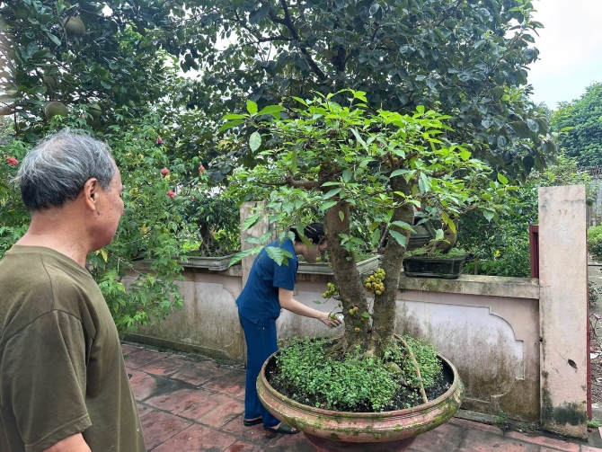 Tình hình dịch bệnh trên địa bàn thành phố Hà Nội từ ngày 21/8 đến ngày 28/8