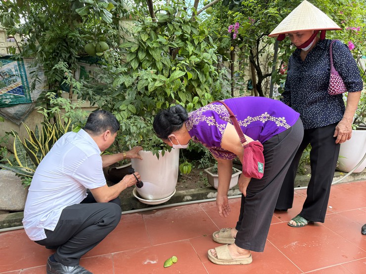 Cần chủ động phòng sốt xuất huyết từ những điểm nước đọng sau mưa