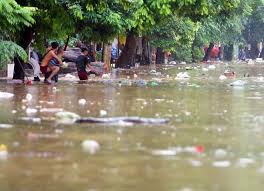 Ô nhiễm môi trường nước và một số vấn đề về sức khỏe