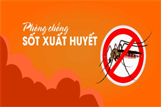 Hướng dẫn phòng chống Sốt xuất huyết